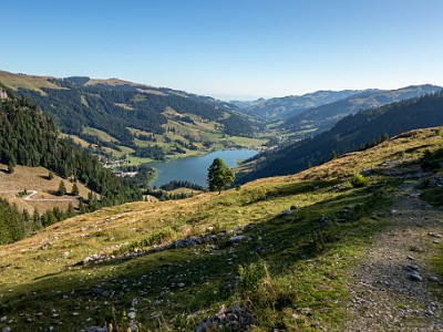 DCCG1X-20250711-1196