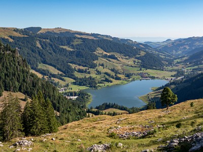 DCCG1X-20250711-1197