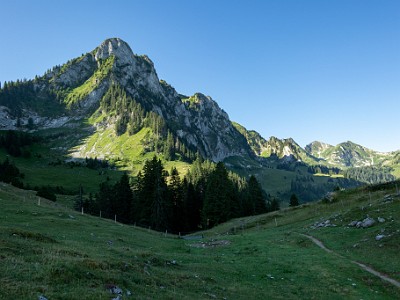 DCCG1X-20250711-1198