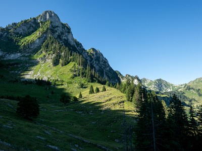 DCCG1X-20250711-1201