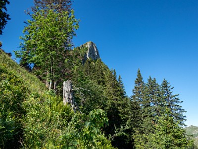 DCCG1X-20250711-1204