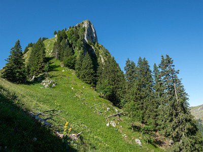 DCCG1X-20250711-1207