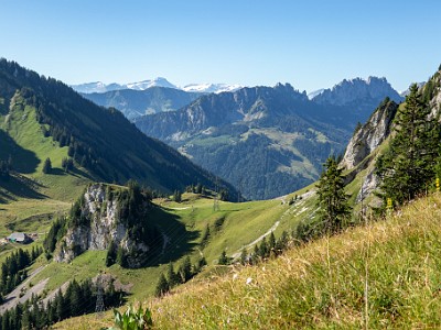 DCCG1X-20250711-1213