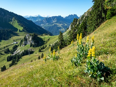 DCCG1X-20250711-1214