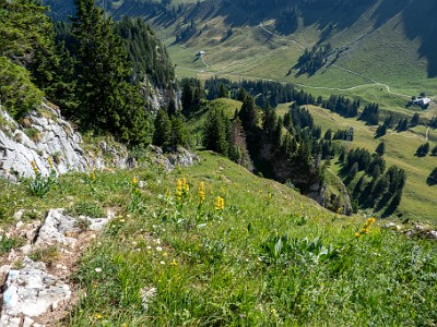 DCCG1X-20250711-1216