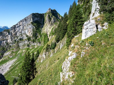 DCCG1X-20250711-1219