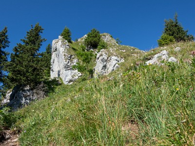 DCCG1X-20250711-1221