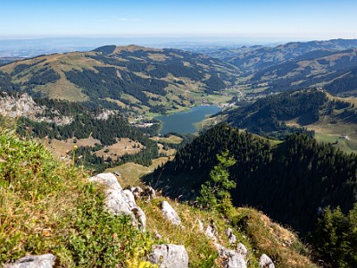 DCCG1X-20250711-1229