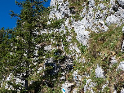 DCCG1X-20250711-1232