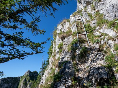 DCCG1X-20250711-1233