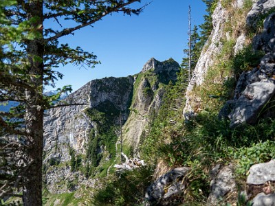 DCCG1X-20250711-1234