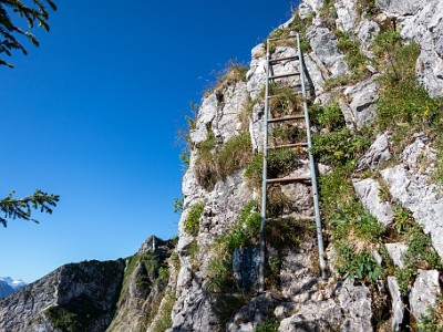 DCCG1X-20250711-1235