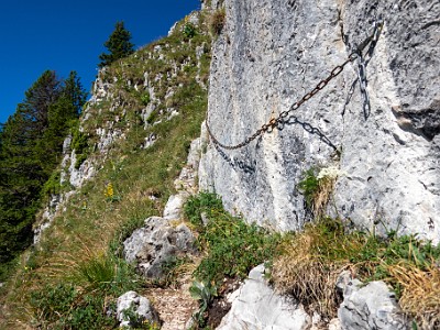 DCCG1X-20250711-1236