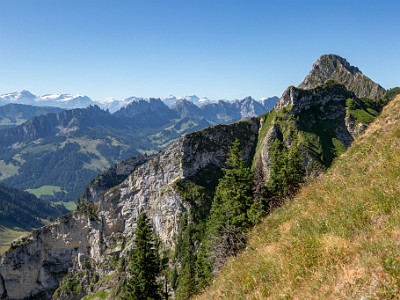 DCCG1X-20250711-1239