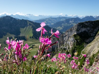 DCCG1X-20250711-1252