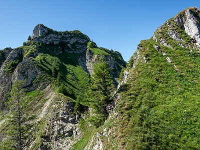 DCCG1X-20250711-1260