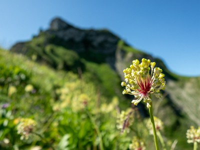 DCCG1X-20250711-1262