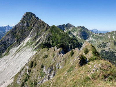 DCCG1X-20250711-1274