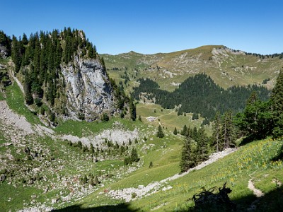 DCCG1X-20250711-1279