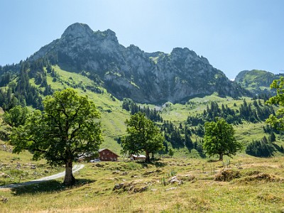 DCCG1X-20250711-1282