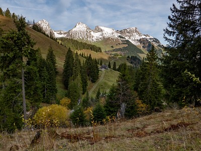 DCLDLUX8-20251031-1001919