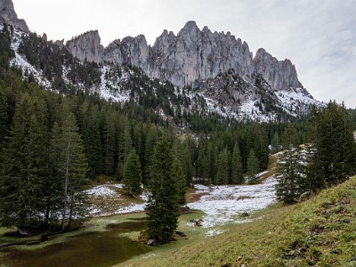 DCLDLUX8-20251031-1001920