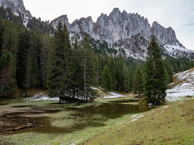 DCLDLUX8-20251031-1001922