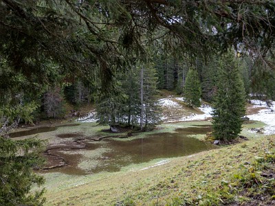 DCLDLUX8-20251031-1001923