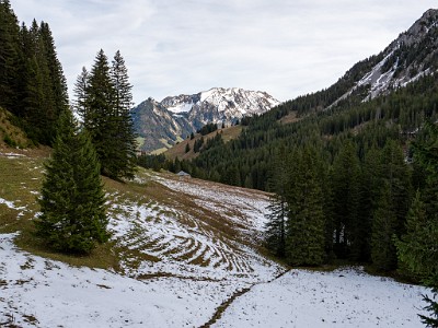 DCLDLUX8-20251031-1001924