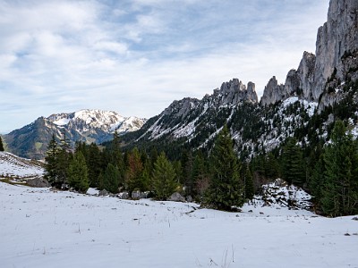 DCLDLUX8-20251031-1001925