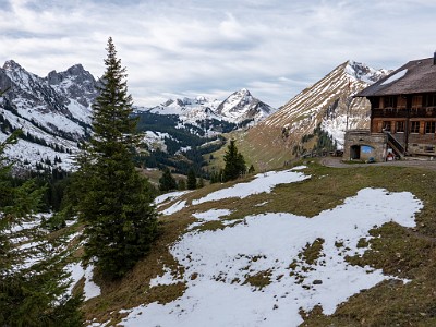 DCLDLUX8-20251031-1001930