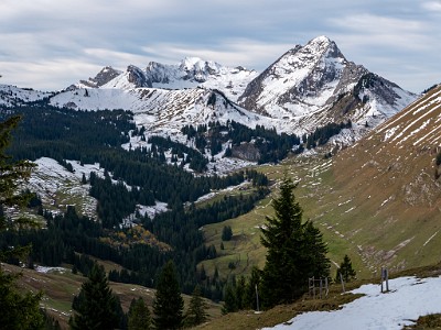 DCLDLUX8-20251031-1001931