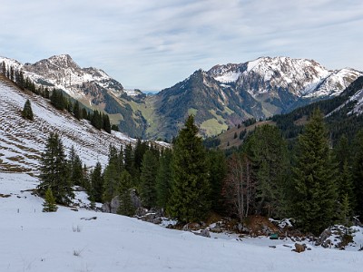 DCLDLUX8-20251031-1001933