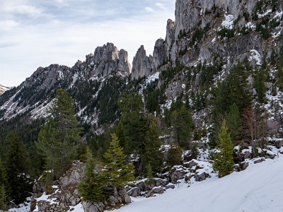 DCLDLUX8-20251031-1001934