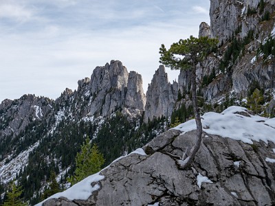 DCLDLUX8-20251031-1001935