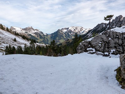 DCLDLUX8-20251031-1001937