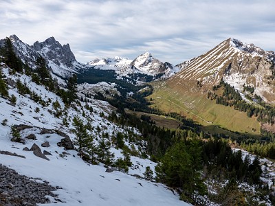 DCLDLUX8-20251031-1001939