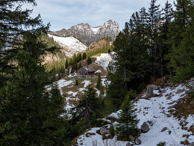 DCLDLUX8-20251031-1001940