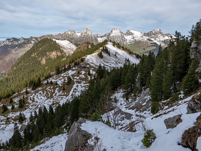 DCLDLUX8-20251031-1001942