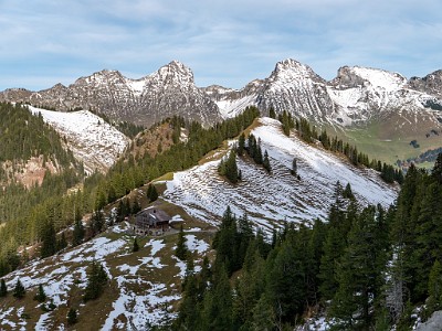 DCLDLUX8-20251031-1001943