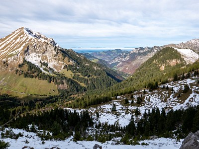 DCLDLUX8-20251031-1001944