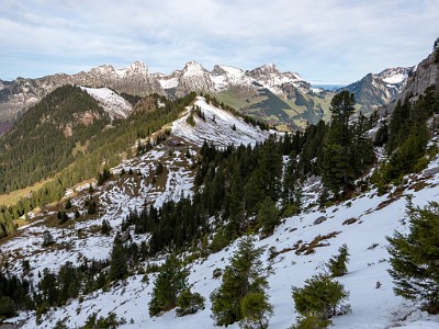 DCLDLUX8-20251031-1001945