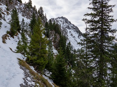 DCLDLUX8-20251031-1001946