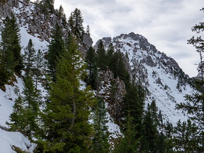 DCLDLUX8-20251031-1001947