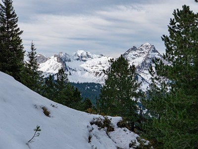 DCLDLUX8-20251031-1001948