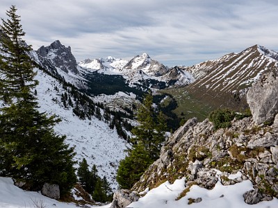 DCLDLUX8-20251031-1001951