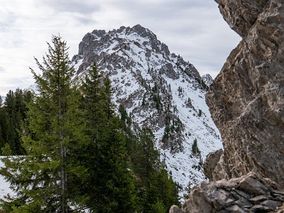 DCLDLUX8-20251031-1001954