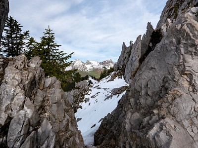 DCLDLUX8-20251031-1001955