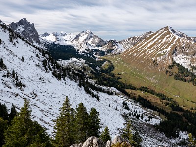 DCLDLUX8-20251031-1001956