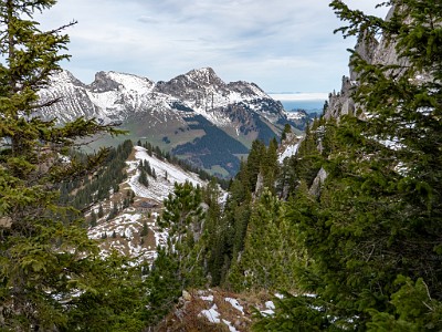 DCLDLUX8-20251031-1001960